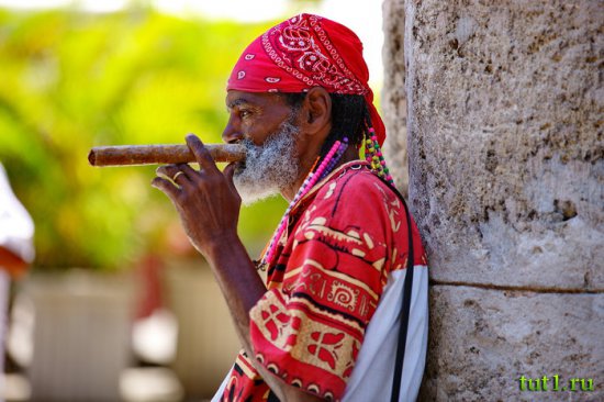 Кубинские сигары — процесс изготовления