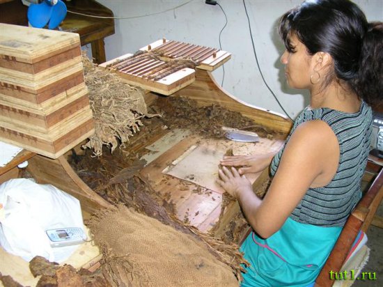 Кубинские сигары - процесс изготовления