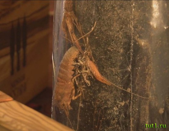 Необычный винный магазин - Лигурия