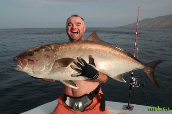 Коста-Дорада - морская рыбалка