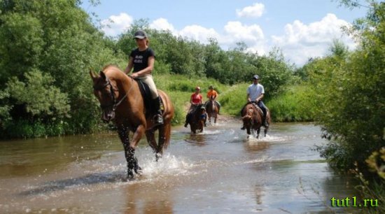 Коста-Дорада - прогулка на лошадях