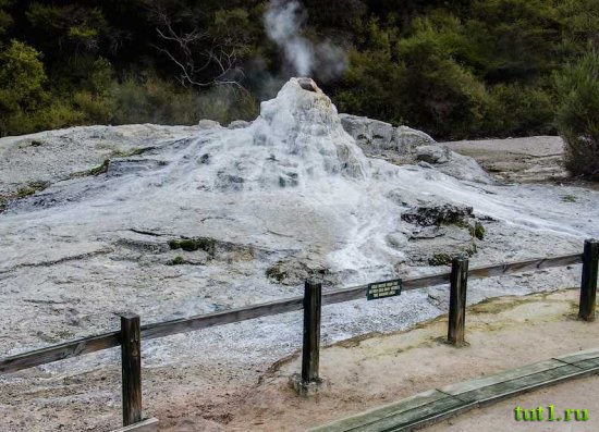 Новая Зеландия - гейзеры