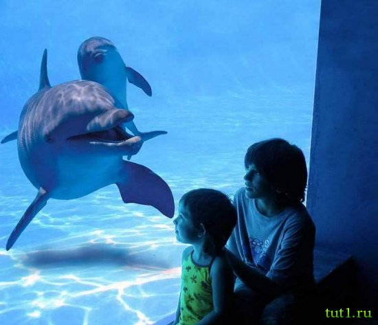 Парк развлечений Marineland - Майорка