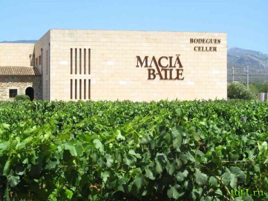 Майорка - Масия Батле (Macia Batle)