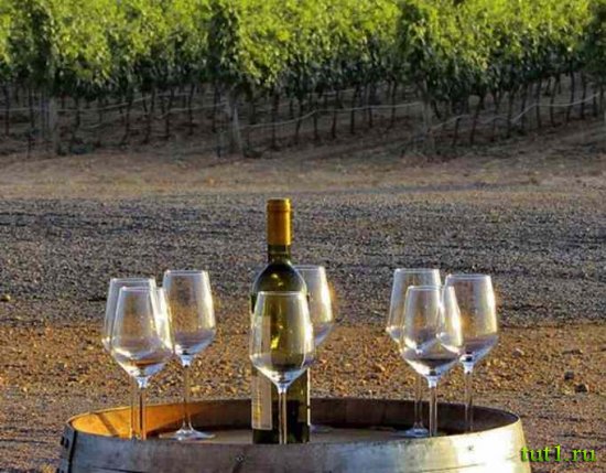 Винный завод Масия Батле (Macia Batle) — Майорка, Испания