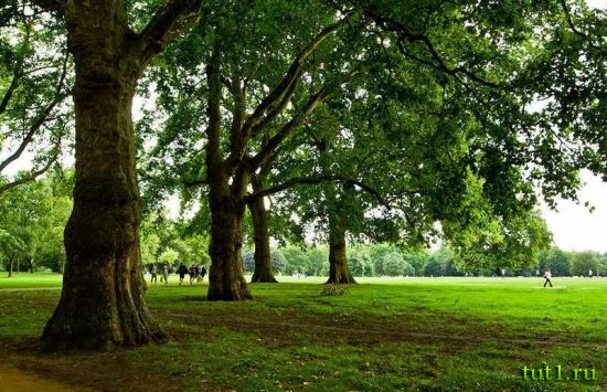 Гайд-парк (Hyde Park) — Лондон