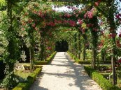 Город Мале - парк Султана