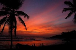 Тривандрум - пляж Варкала