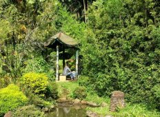 Королевский ботанический сад Шри-Ланки