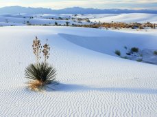 Белая пустыня — Египет
