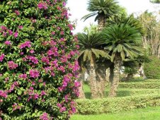 Королевский парк Монтаза - Александрия, Египет